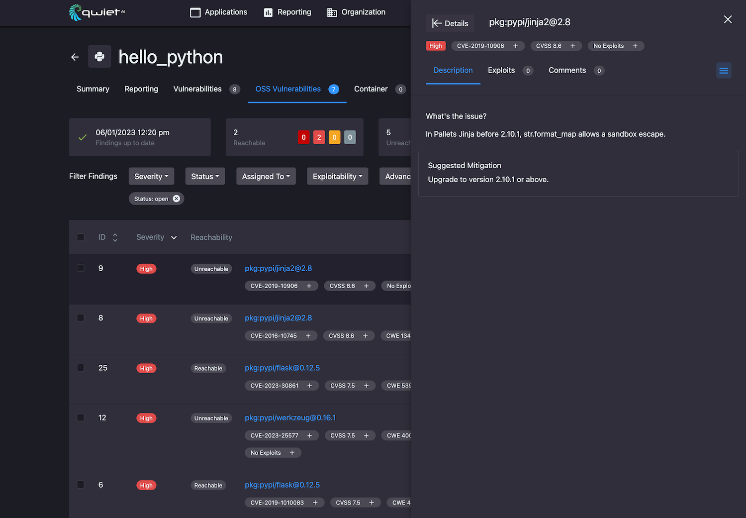 A view of the detailed findings tab for a specific OSS vulnerability